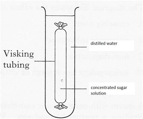 Cell Physiology - Form 1 Biology Notes - EasyElimu: Learning Simplified