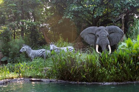 Jungle River Cruise at Hong Kong Disneyland | Loren Javier | Flickr