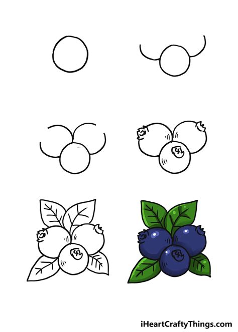 Blueberries Drawing