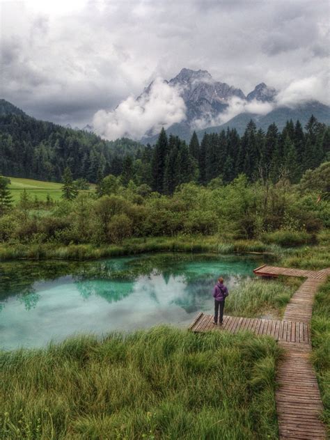 Zelenci view, Slovenia!... - gloryus journeys