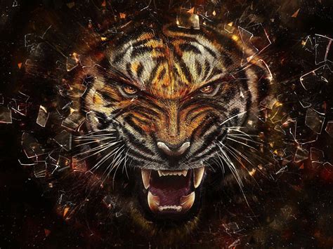 Cool Tiger Wallpapers - Top Free Cool Tiger Backgrounds - WallpaperAccess