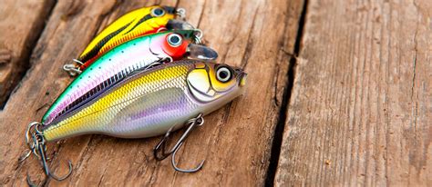 Best Fishing Lures in 2022 [Buying Guide] - GearHungry