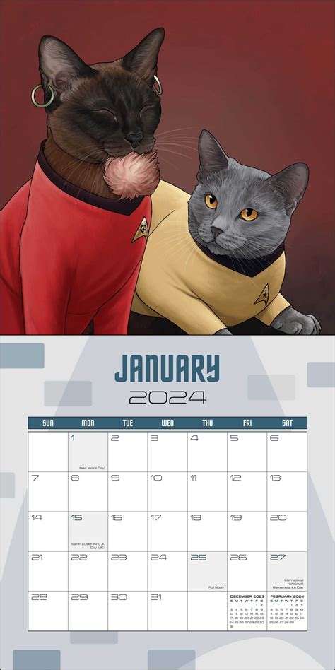 Star Trek Cats Calendar 2024 - Davida Nicoli