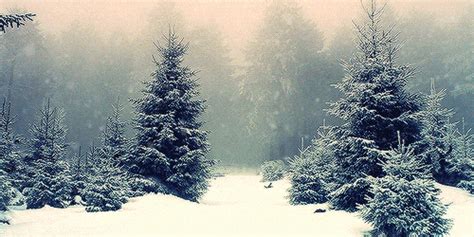 Blog: Add a Christmas Snow background to your homepage