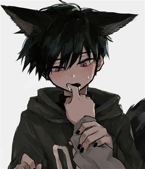 Pin by tigas pit on Anime?¿ | Anime cat boy, Anime fox boy, Cute anime boy