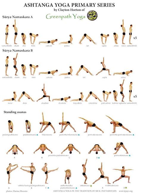 Ashtanga Yoga Asanas Photos | Exercícios de yoga, Exercícios de ioga ...