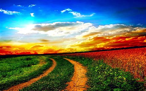 FIELD at SUNSET, horizon, nature, sunset, road, field, HD wallpaper | Peakpx