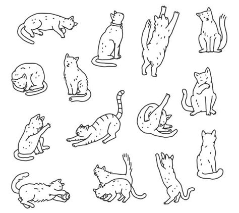 2,300+ Drawing Of The Cat Laying Down Stock Illustrations, Royalty-Free Vector Graphics & Clip ...