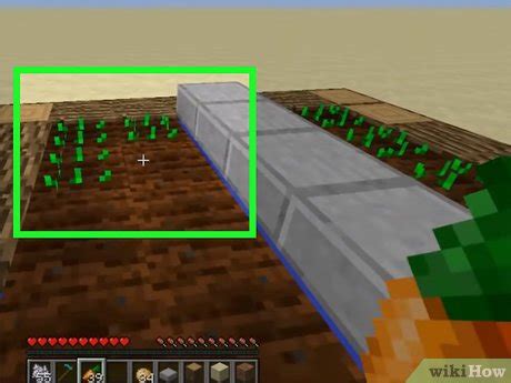 4 Ways to Plant Seeds in Minecraft - wikiHow