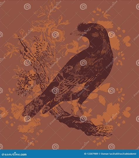 Night crow stock vector. Illustration of painting, clip - 12307989