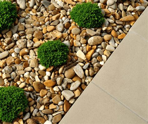 Pros and Cons of Adding Landscape Gravel to Your Backyard Design