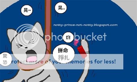 淘氣王子不頑皮/notty prince not notty: June 2010