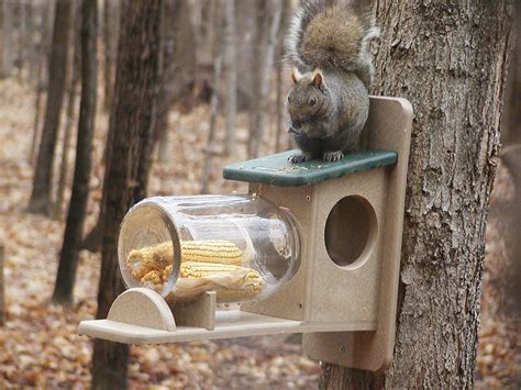 Build A Spinning Squirrel Feeder - Image to u