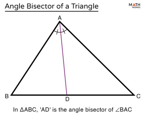 Bisector Definition