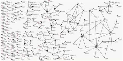 Network of known cytokine–receptor interactions. | Download Scientific Diagram