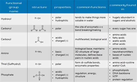 Functional Groups for Health and Bio Majors - Chemistry Help Center