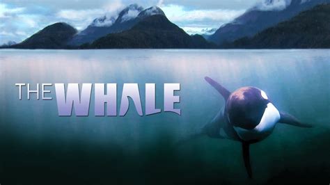 The Whale subtitles English | opensubtitles.com