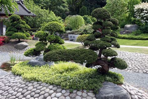 Contact Support | Japanese garden plants, Garden design, Garden bonsai tree