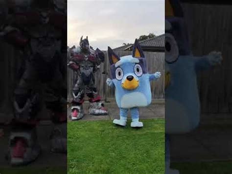 Bluey Cosplay Vs Transformers Joget Bareng #Shorts 145 - YouTube