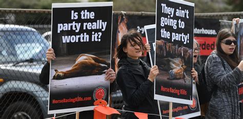 Who’s responsible for the slaughtered ex-racehorses, and what can be done?