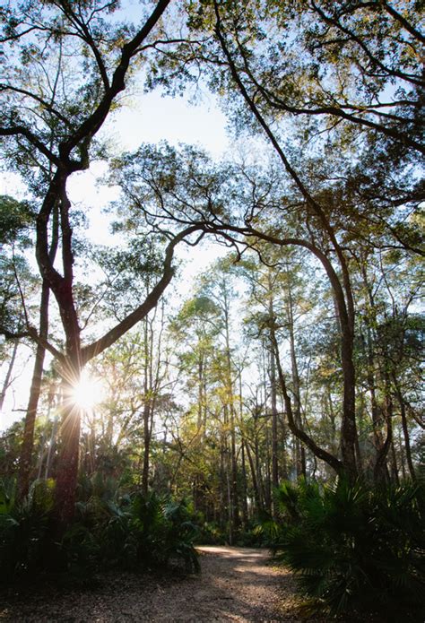 Camping at Juniper Springs in Ocala National Forest, Florida | Hidden Travel Treasures.com