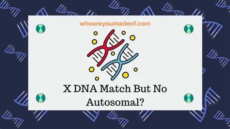 DNA Matches Archives - Who are You Made Of?