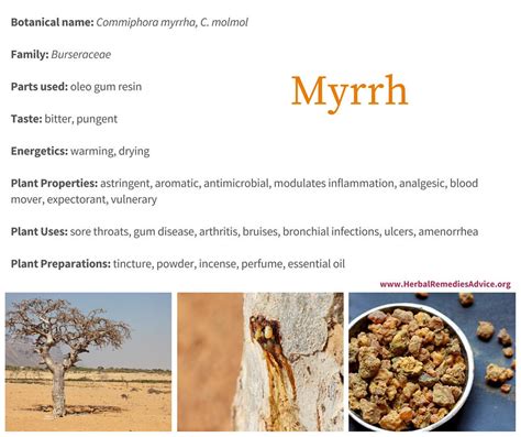 Myrrh Uses