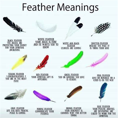 If you come across a feather | Feather color meaning, Feather meaning, Black feather meaning