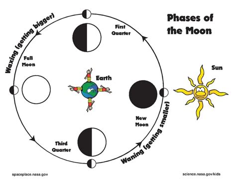 The Phases of the Moon - HubPages