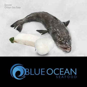 Patagonian Toothfish / Chilean Sea Bass We Are Producers ! - Buy Frozen Chilean Sea Bass Whole ...