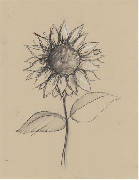 Creator's Joy: Sunflower Still Life Drawing Lesson