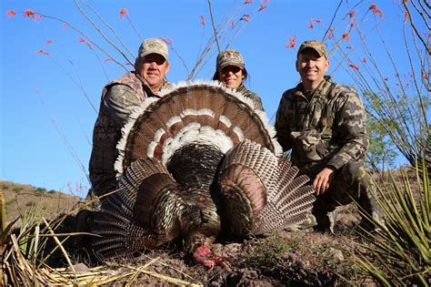 Colburn and Scott Outfitters: Goulds Turkey Hunts