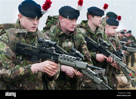 Soldiers from the Territorial Army training Stock Photo - Alamy