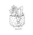 Cartoon cute succulents in pot Royalty Free Vector Image