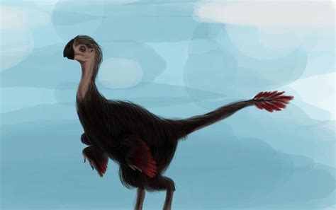 Oviraptorid by nico667UKCS on DeviantArt