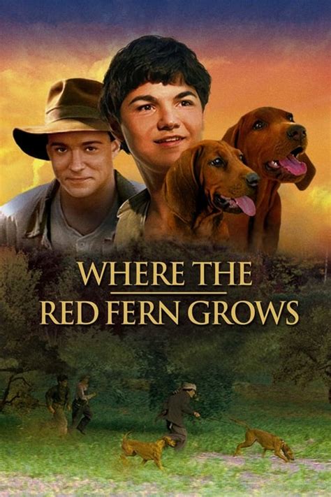 Where the Red Fern Grows Movie Review and Ratings by Kids