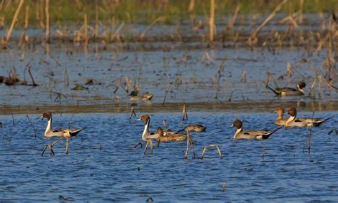 Lake Somerville State Park & Trailway Trailway — Texas Parks & Wildlife Department