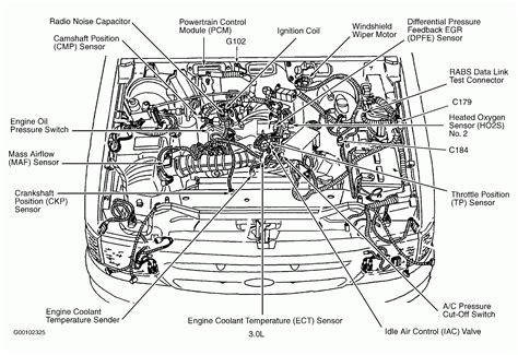 02 Ford Escape 3.0 Firing Order