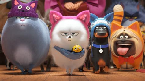 Illumination's 'The Secret Life of Pets 2': Audiences Like It; Critics Not So Much