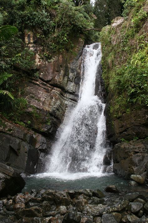 El Yunque Waterfall, Puerto Rico | Waterfall, Places ive been ...