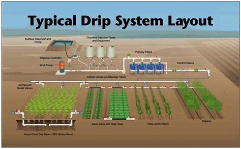 Drip Irrigation - Types, Advantages And Disadvantages - Daily Civil