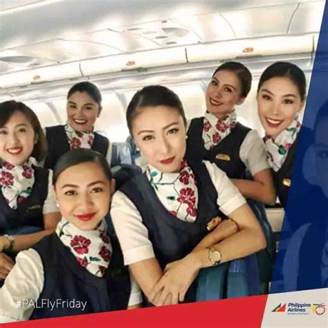 How to Apply Philippine Airlines Cabin Crew Hiring - Cabin Crew HQ