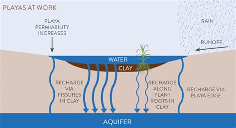 H20, SDG, ESG, NBS…How Many Letters Does it Take to Impact Water ...