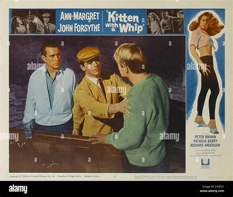 Kitten With a Whip - Ann-Margret - Movie Poster Stock Photo - Alamy