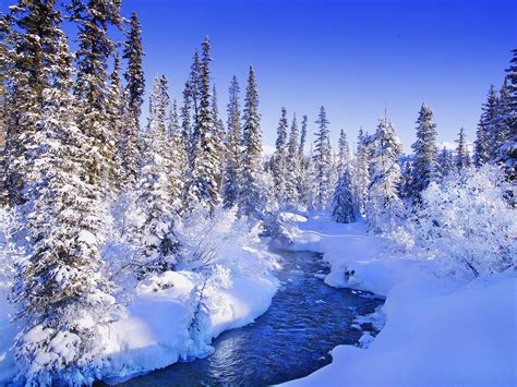 Nature landscape winter wallpaper