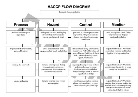 Haccp Flow Chart Template