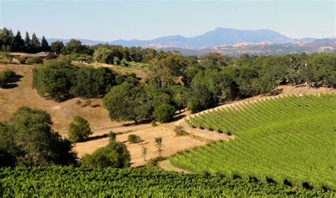 Healdsburg, Super Premium Vineyard Estate – VineSmart