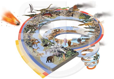 Prehistoric • Dinosaurs • Evolution | SJC Illustration Gallery