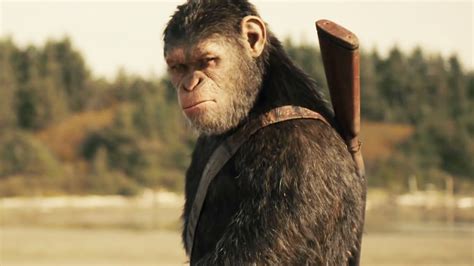 Caesar Dawn Of The Planet Of The Apes Wallpaper