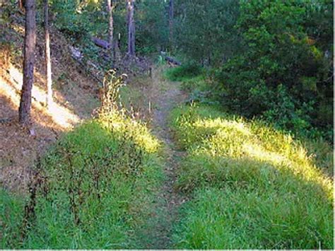 Cambria Hiking Trails - Fern & Strawberry Canyon Trails